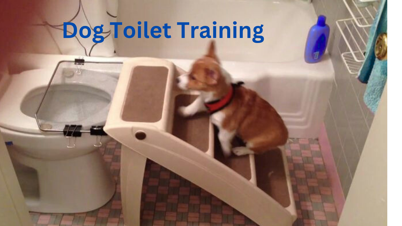 Dog Toilet Training