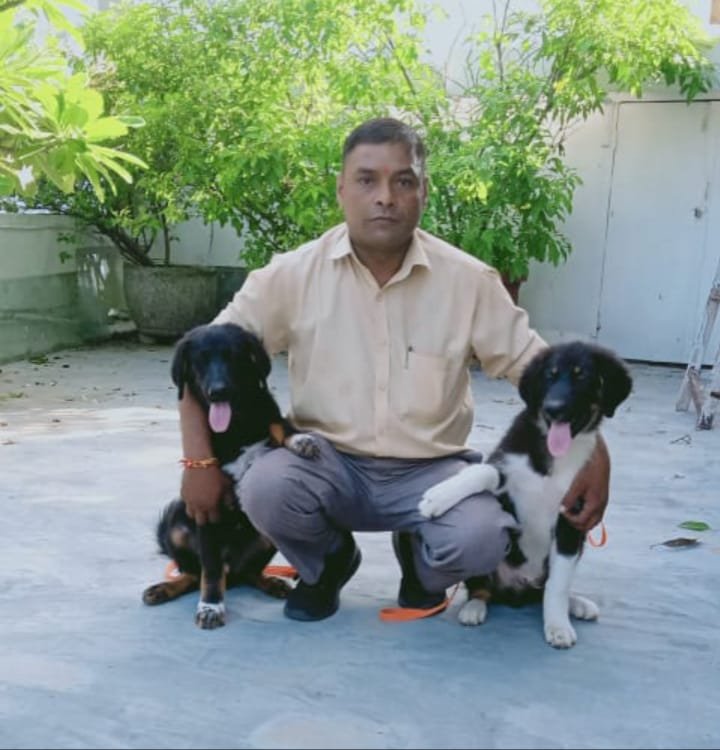 Dog Behavior Training