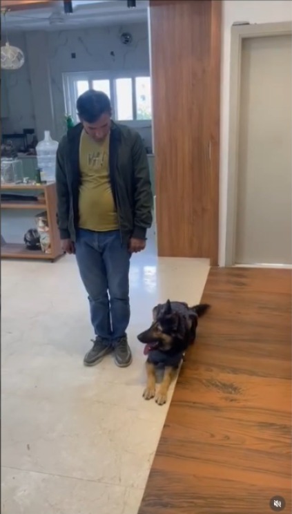 dog obedience trainer