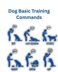 Dog Basic Training Commands