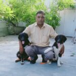 Dog Behavior Training